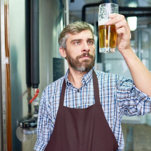 tasking-beer-at-modern-brewery